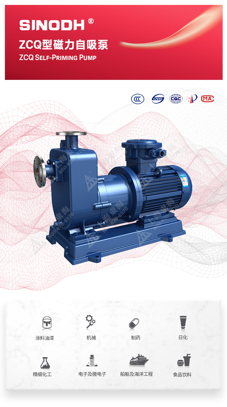 ZCQ型磁力自吸安博（中国）_01.jpg
